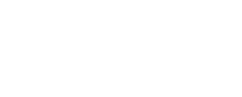 logo lessinia