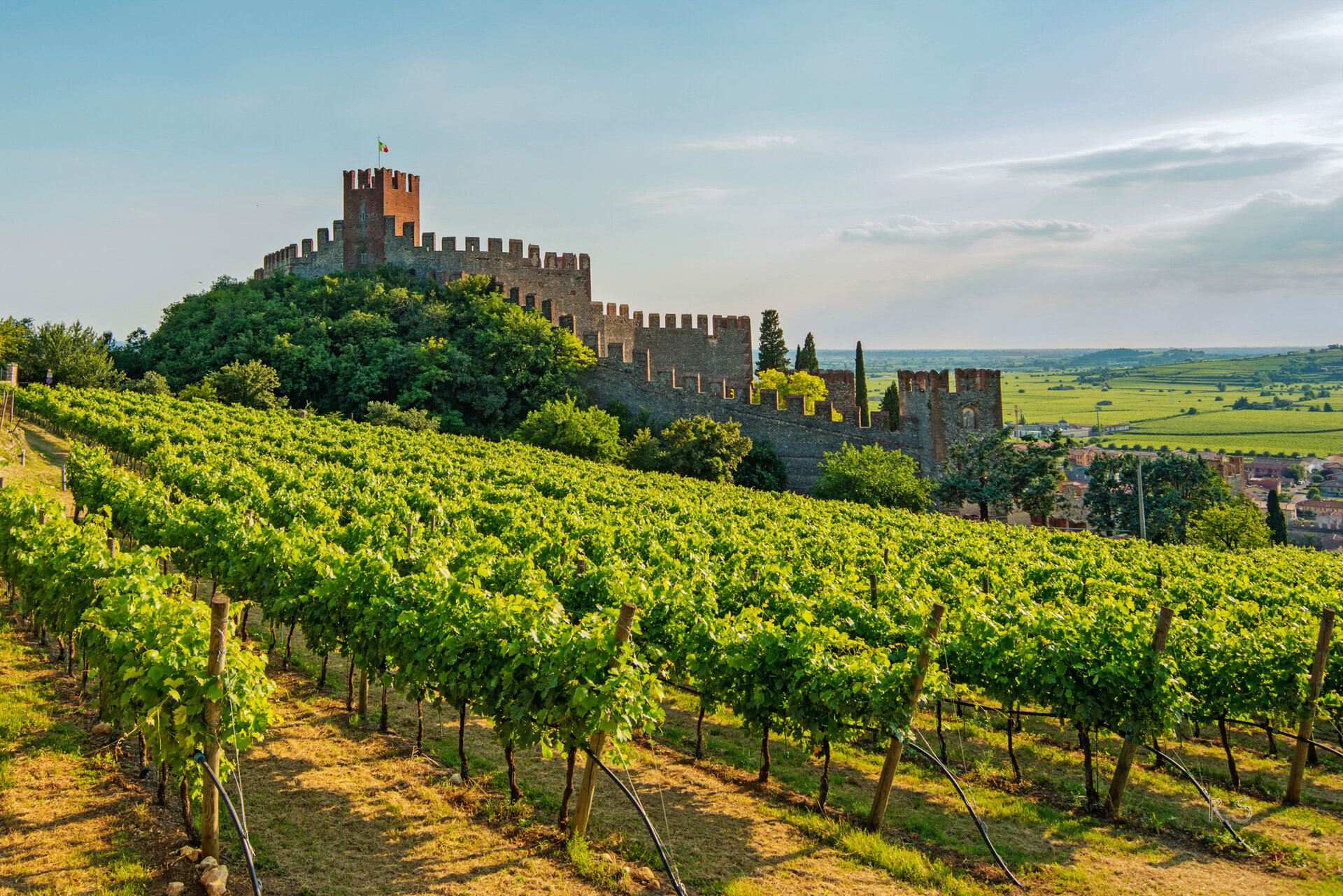 Soave